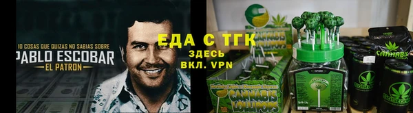 индика Алзамай