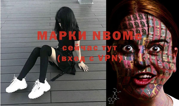 индика Алзамай