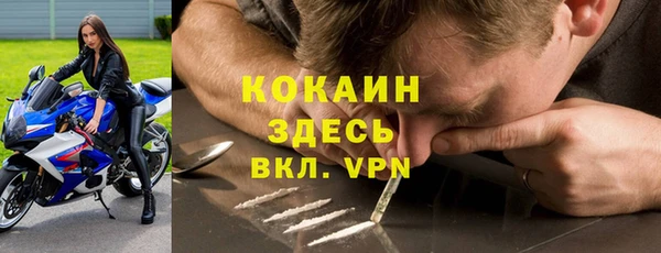 индика Алзамай